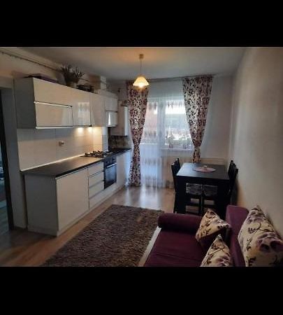 Ferienwohnung Diana Apartament Brașov Exterior foto