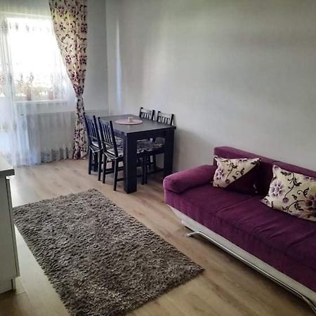 Ferienwohnung Diana Apartament Brașov Exterior foto