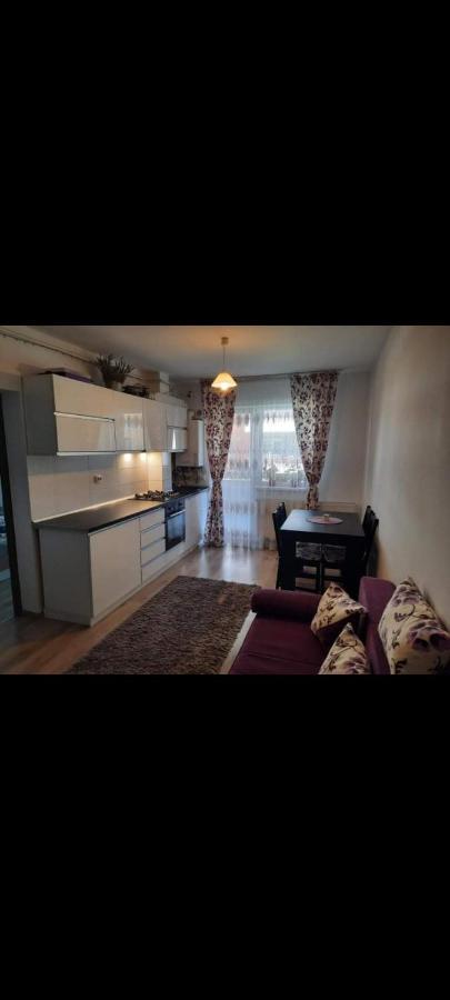 Ferienwohnung Diana Apartament Brașov Exterior foto